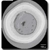 TRISO-X-section